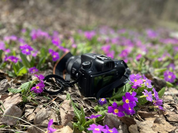 Découvrez Édouard marano – photographe à lyon